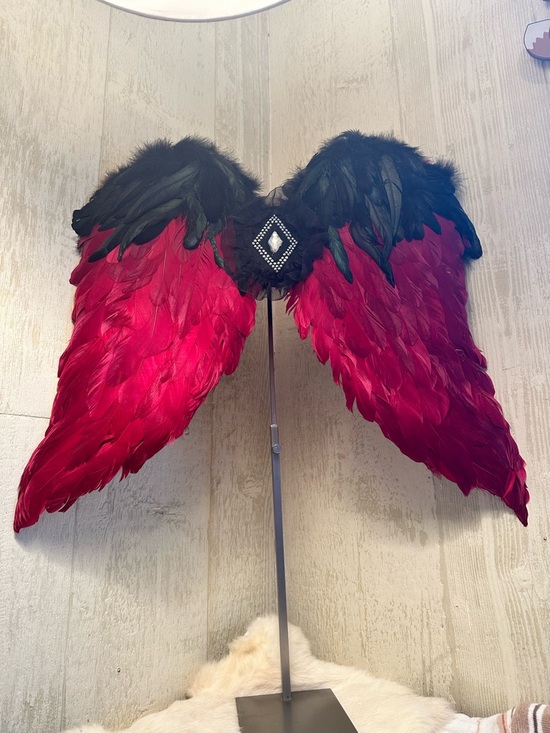 Other - 🔥Red and Black Feather Wings with Beaded Detail